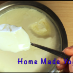 Home Made Yogurt Recipe